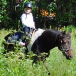 Kroken rider